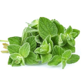 عرق پونه پرنیان